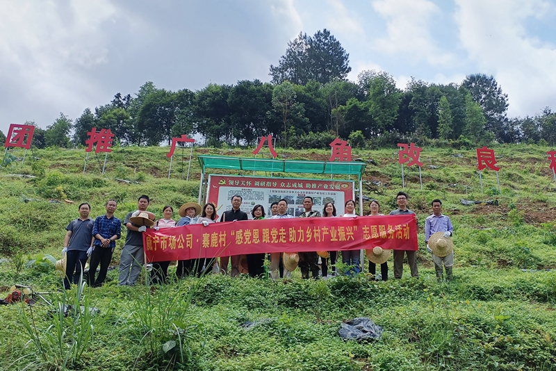 活動合影（拍攝：雷月清）.jpg