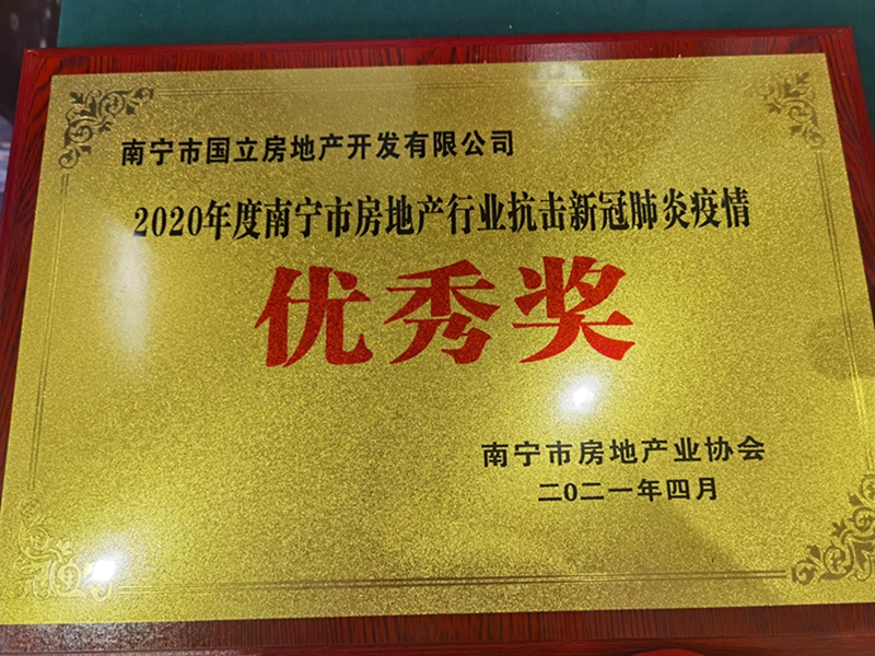 國(guó)立公司榮獲“南寧市房地產(chǎn)行業(yè)抗擊新冠肺炎疫情優(yōu)秀獎(jiǎng)”.jpg